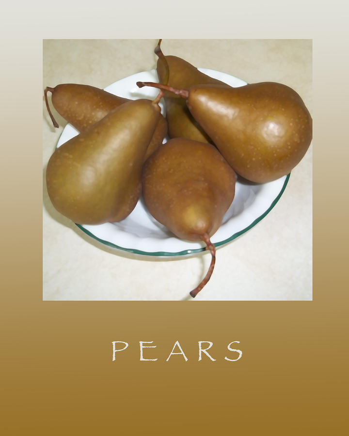 Bosc Pears-Natures Golden Fruit #1 Photograph by Anne Cameron Cutri