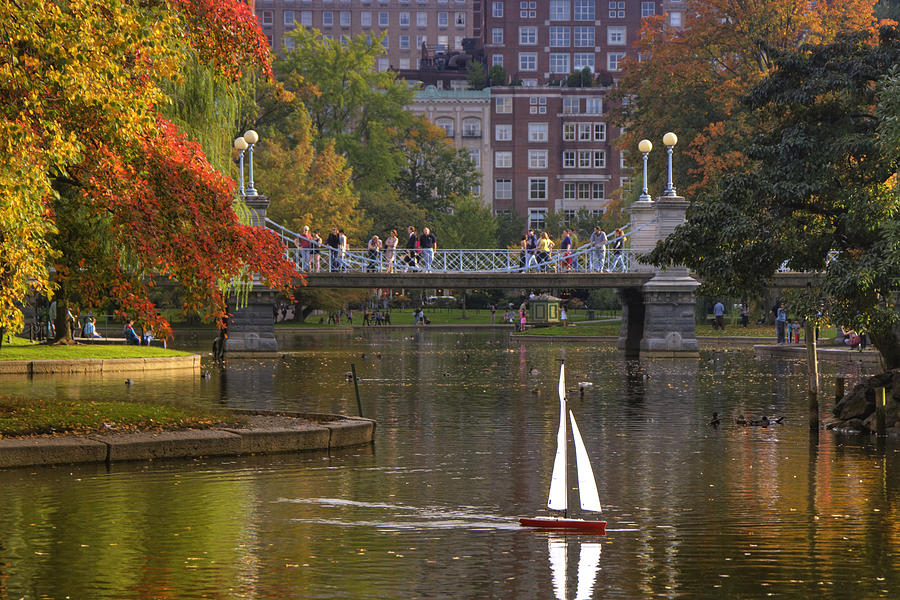 Boston Public Garden #1 Photograph by Joann Vitali