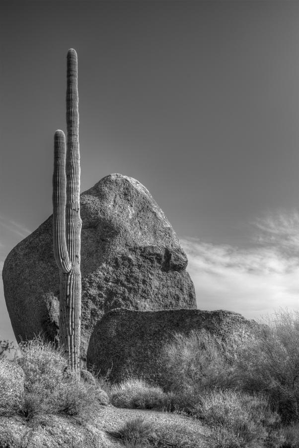 Boulders #1 Photograph by Anthony Citro