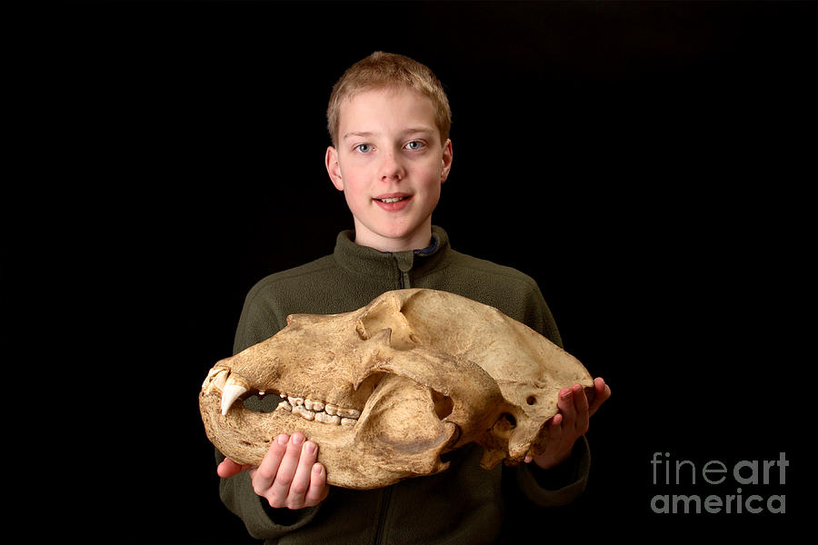 Boy Holding Kodiak Bear Skull #1 Photograph by Ted Kinsman