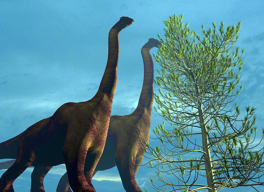 types of dinosaurs brachiosaurus