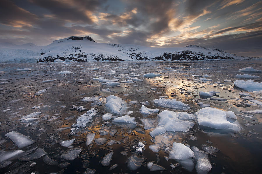 Brash Ice At Sunset Cierva Cove #1 Photograph by Colin Monteath