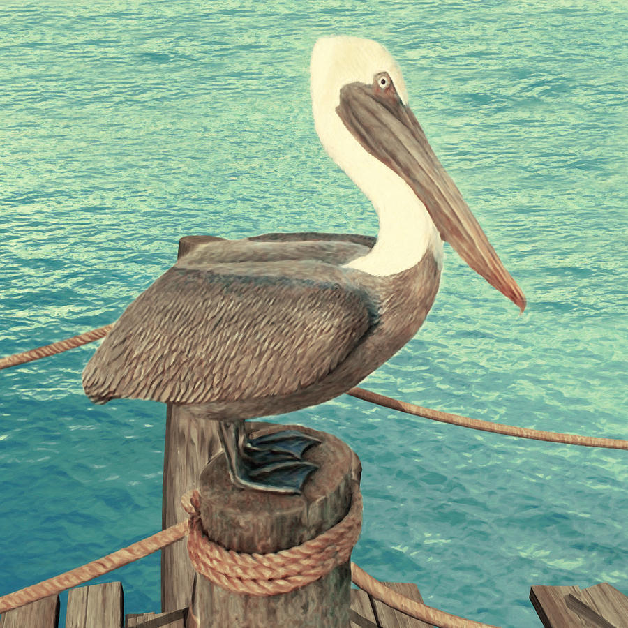 Brown Pelican #1 Digital Art by Walter Colvin