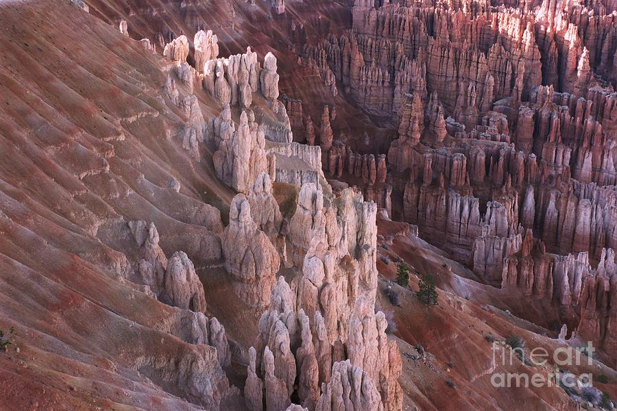 Bryce Canyon 7 #1 Photograph by Allen Beatty
