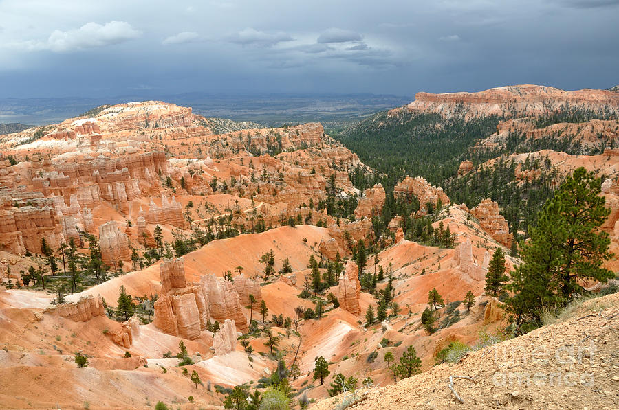 Bryce Canyon Storm #1 Photograph by Gary Whitton