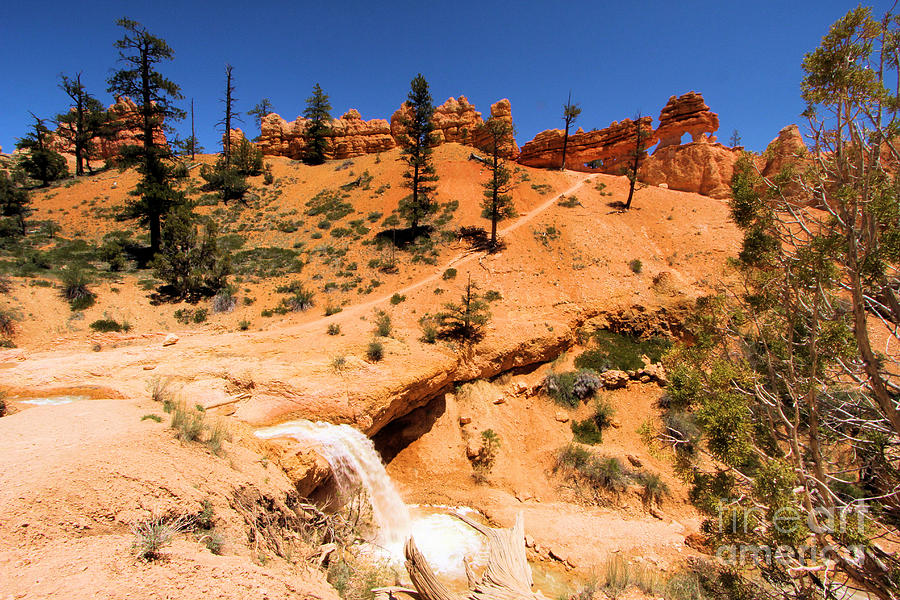 Bryce Water Canyon #1 Photograph by Adam Jewell
