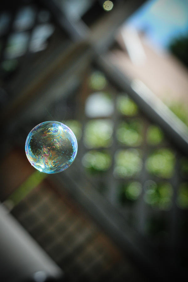 Bubble Photograph - Bubble #1 by Tamara Hamula