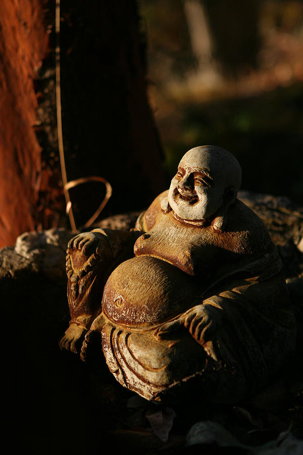 Buddha Photograph - Buddha of the Forest #1 by Lorraine Devon Wilke
