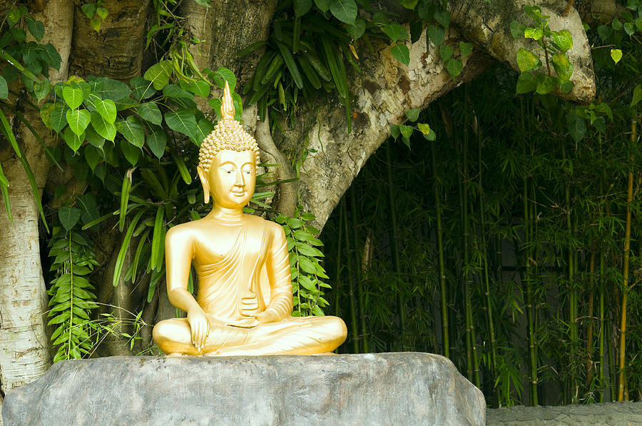 Buddha statue under green tree in meditative posture #1 Photograph by U Schade