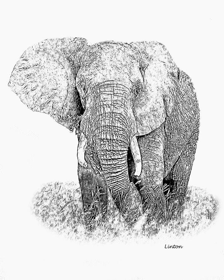 Bull Elephant #1 Digital Art by Larry Linton