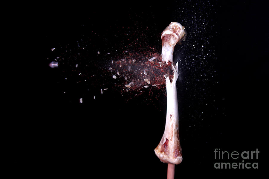Bullet Hitting A Chicken Bone #1 Photograph by Ted Kinsman