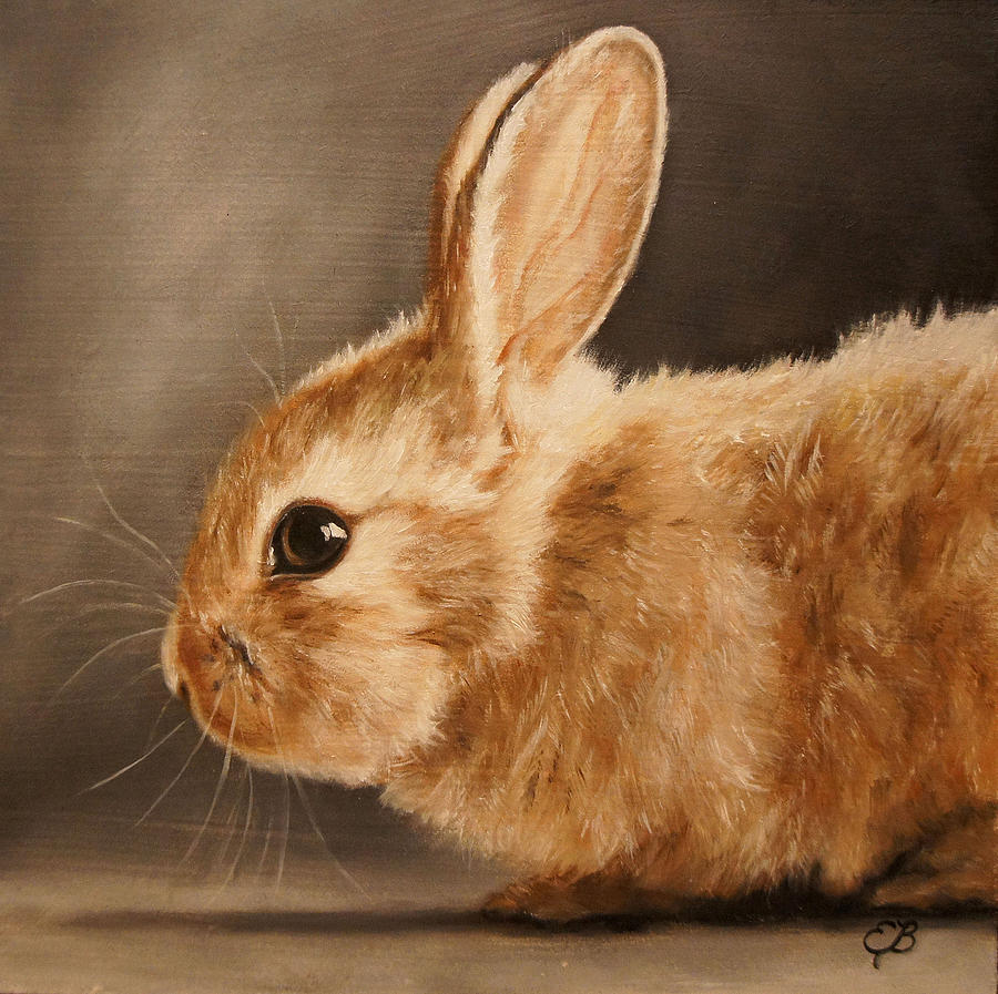 Bunny Painting By ELIZABETH Hoddevik   1 Bunny Elizabeth Barrett 