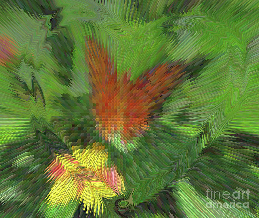 Butterfly Abstract Photograph by Donna Brown