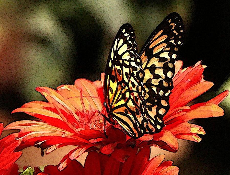 Butterfly #1 Digital Art by Carrie OBrien Sibley