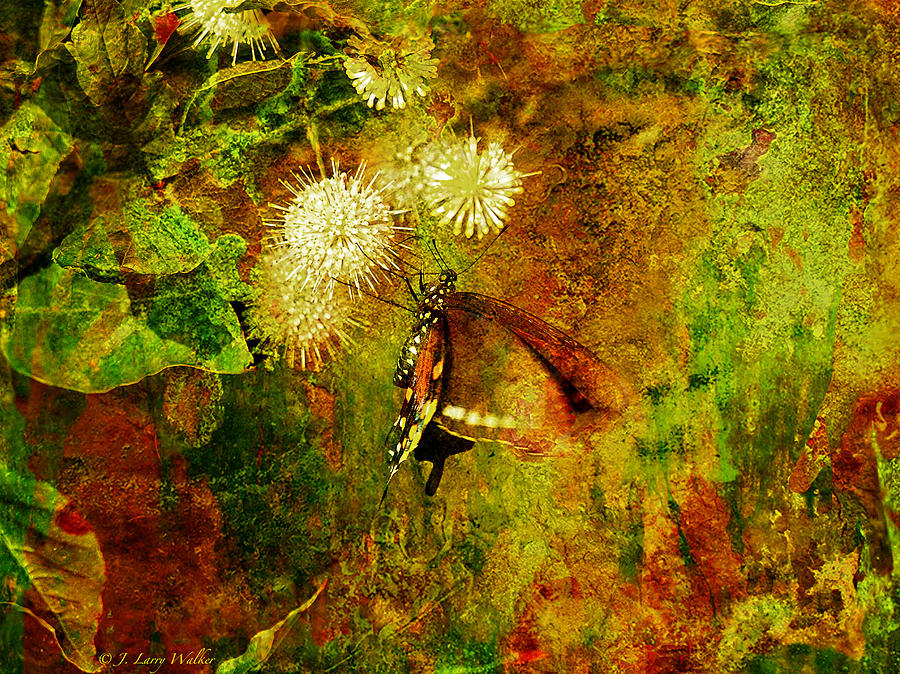 Butterfly On Buttonbush #1 Digital Art by J Larry Walker