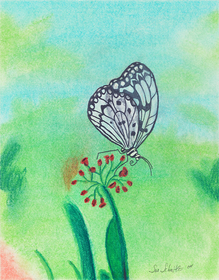 Butterfly Pastel by Susan Schmitz
