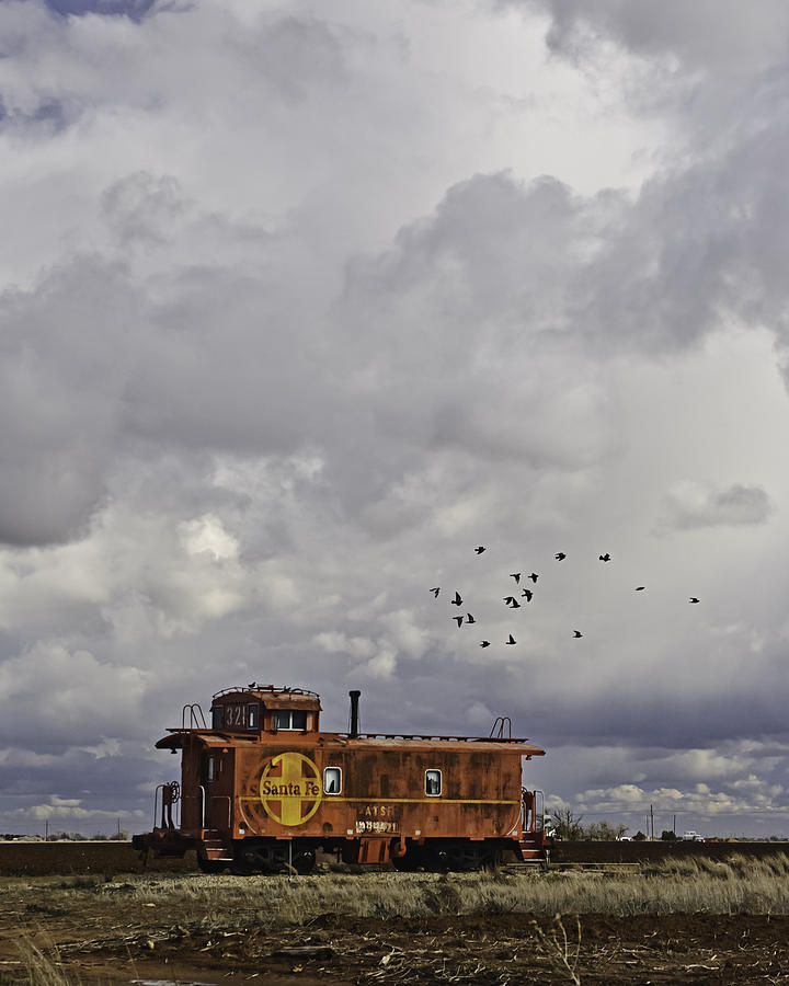 Caboose in a Cotton Field #1 Photograph by Melany Sarafis