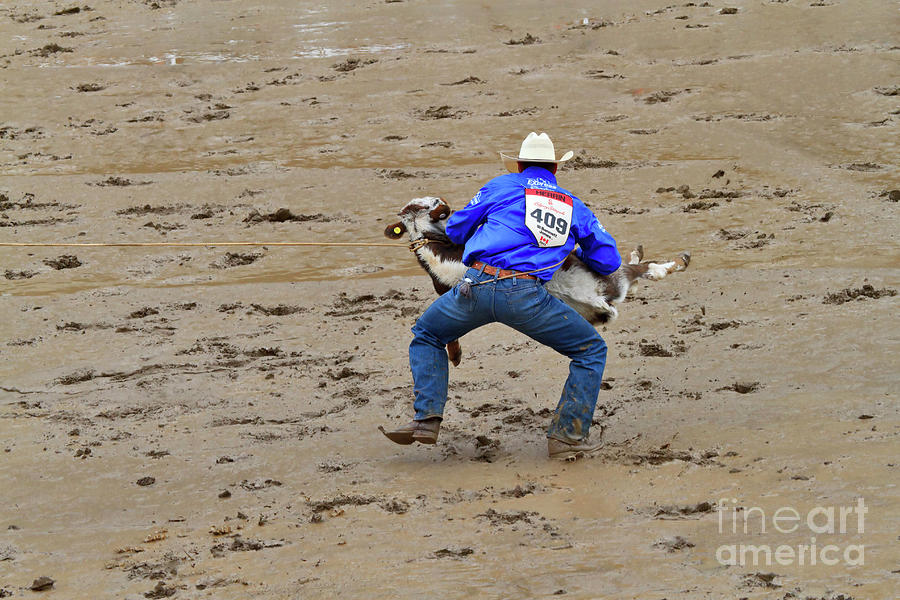 Rodeo Photograph - Calf Roping at the Calgary Stampede #3 by Louise Heusinkveld