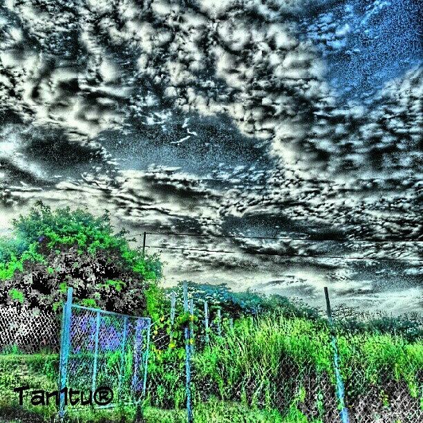Nature Photograph - Campooo #puertorico #june6 #1 by Tania Torres