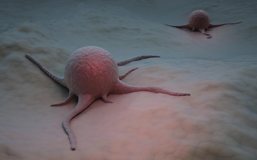 Cancer Cells, Artwork #1 Digital Art by Andrzej Wojcicki