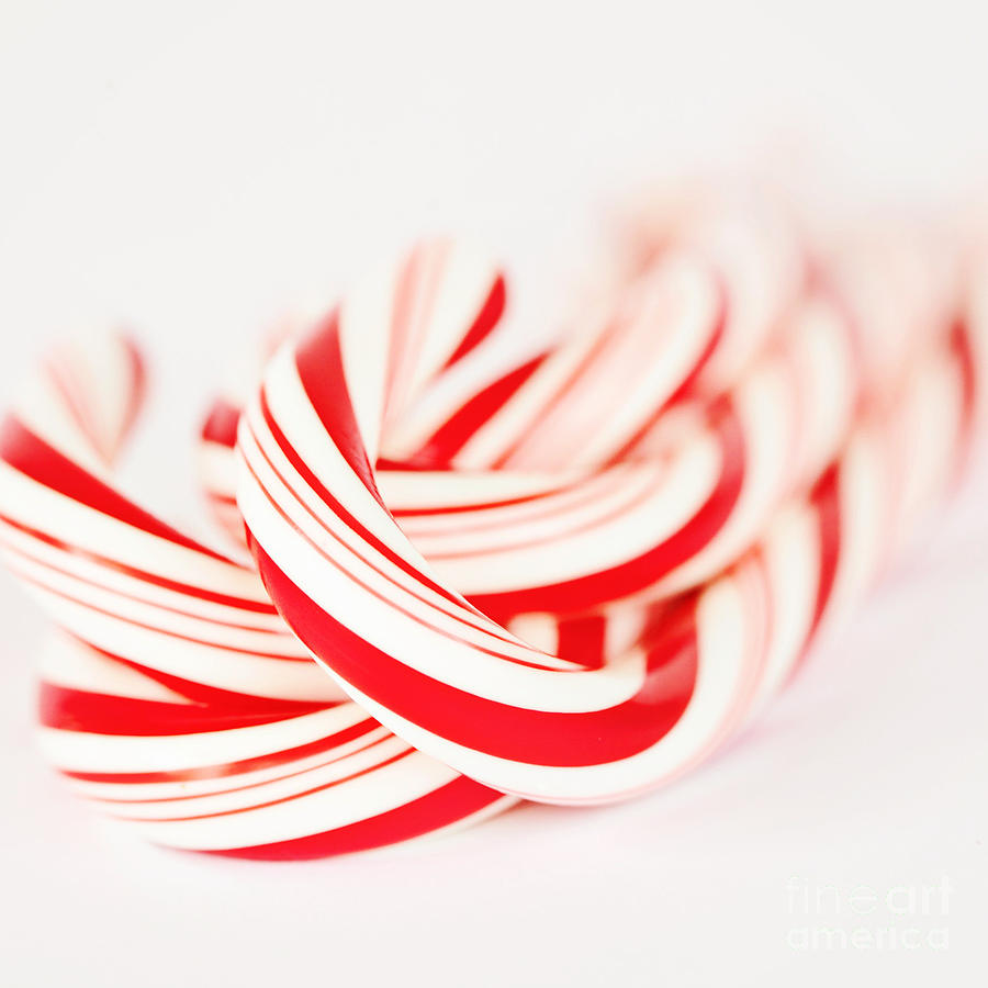 Candy Canes #1 Photograph by Kim Fearheiley