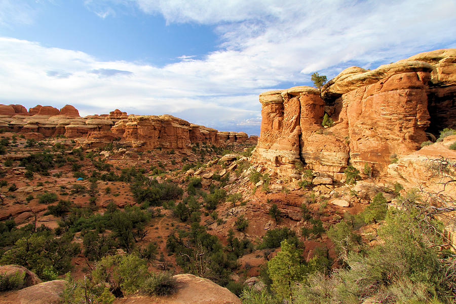 Canyonlands Needles District #1 Photograph by Adam Jewell