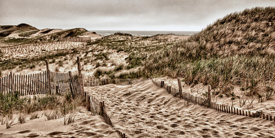 Cape Cod Dunes #1 Photograph by Fred LeBlanc