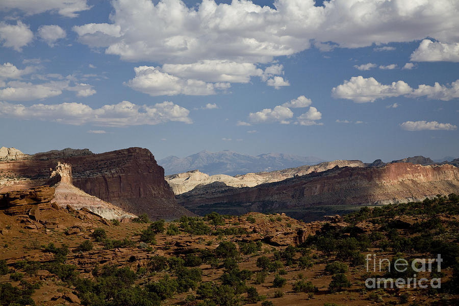Capitol Reef #1 Photograph by Timothy Johnson
