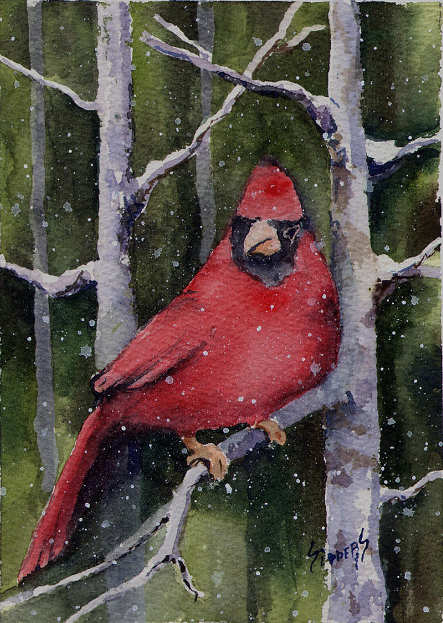 Cardinal Painting - Cardinal #1 by Sam Sidders