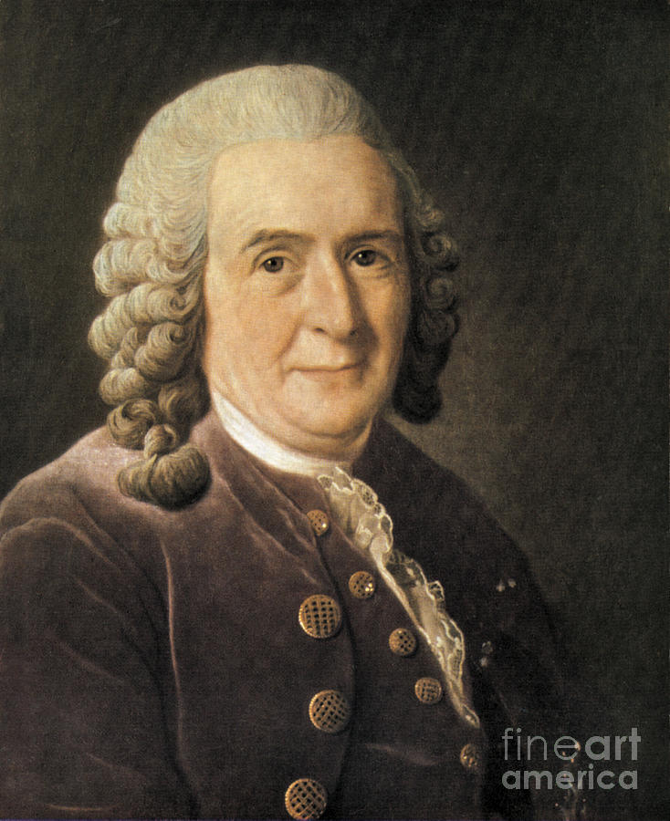 Carl Linnaeus, Swedish Botanist #1 Photograph by Science Source