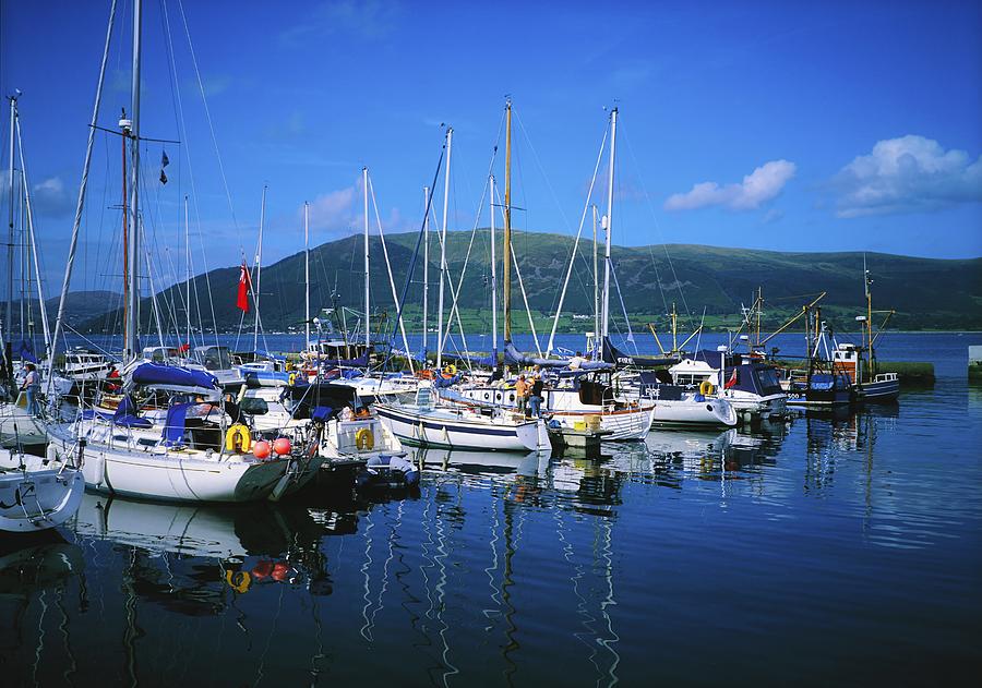 Boat Photograph - Carlingford Yacht Marina, Co Louth #1 by The Irish Image Collection 