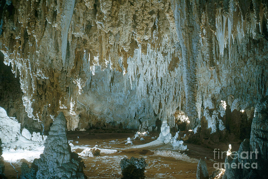 Carlsbad Caverns #1 Photograph by Photo Researchers, Inc.