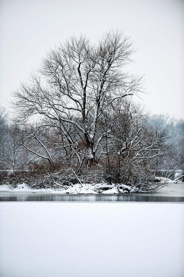 Winter Photograph - Carnegie Lake #1 by Frank DiGiovanni
