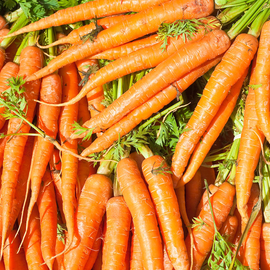 Carrot Photograph - Carrots #1 by Tom Gowanlock
