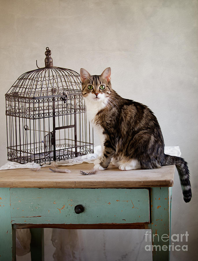 Cat Photograph - Cat and Bird #1 by Nailia Schwarz