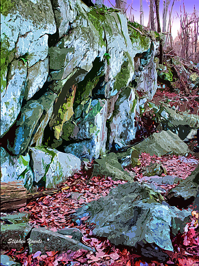 Catoctin Rock #1 Digital Art by Stephen Younts