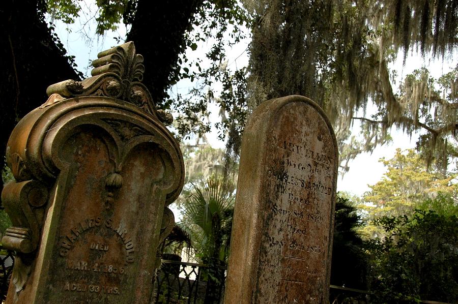 Cemeteries of Savannah #1 Photograph by Leslie Lovell