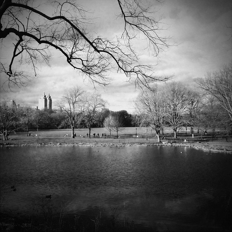 Nature Photograph - Central Park #1 by Eli Maier
