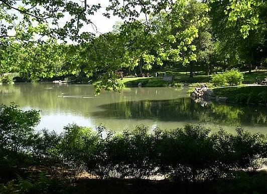 Central Park Lake Photograph by Fran Wild - Fine Art America