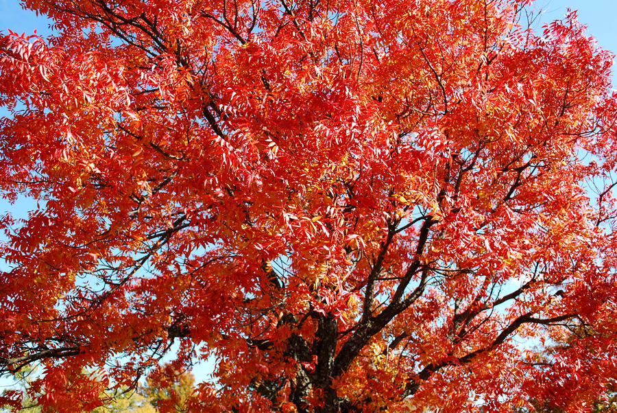 Changing Seasons Photograph by Malania Hammer - Fine Art America