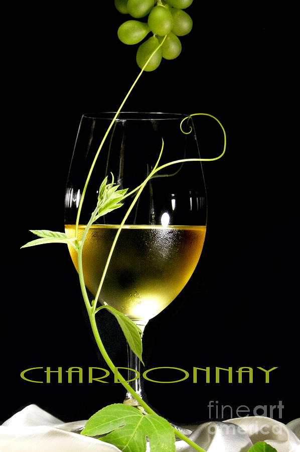 Wine Photograph - Chardonnay #1 by Jose Luis Reyes