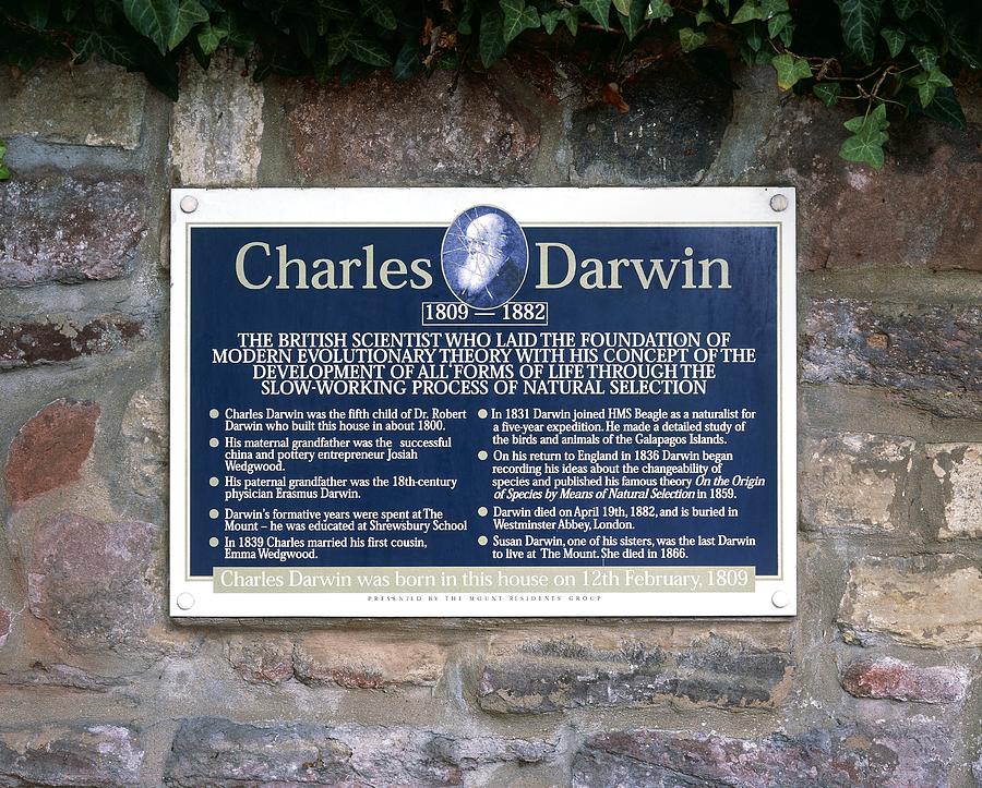 Charles Darwin Commemorative Plaque #1 by Martin Bond