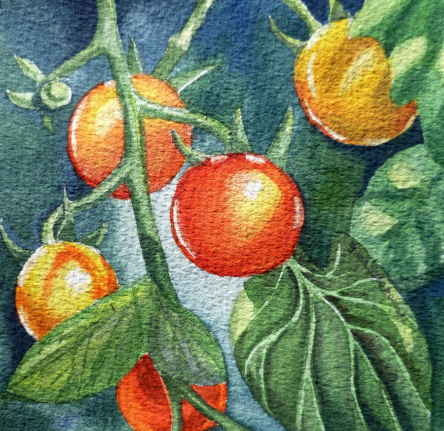 Tomato Painting - Cherry Tomatoes #2 by Irina Sztukowski