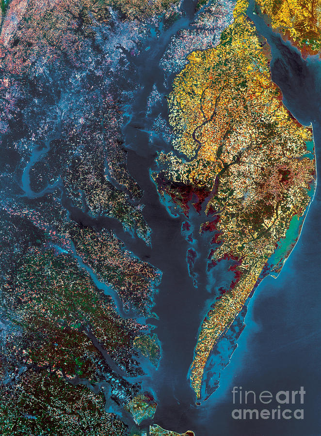 Chesapeake Bay #1 Photograph by Science Source