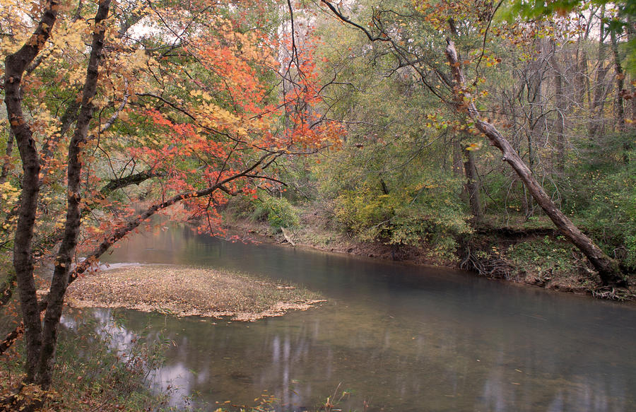 Chickamauga Creek #1 Photograph by David Troxel