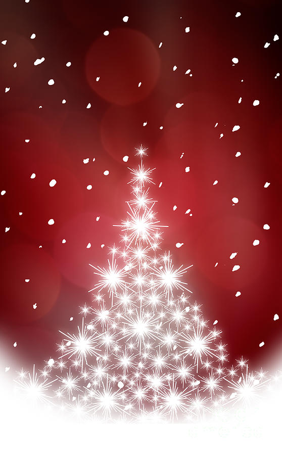 Christmas illustration Photograph by Kati Finell - Fine Art America