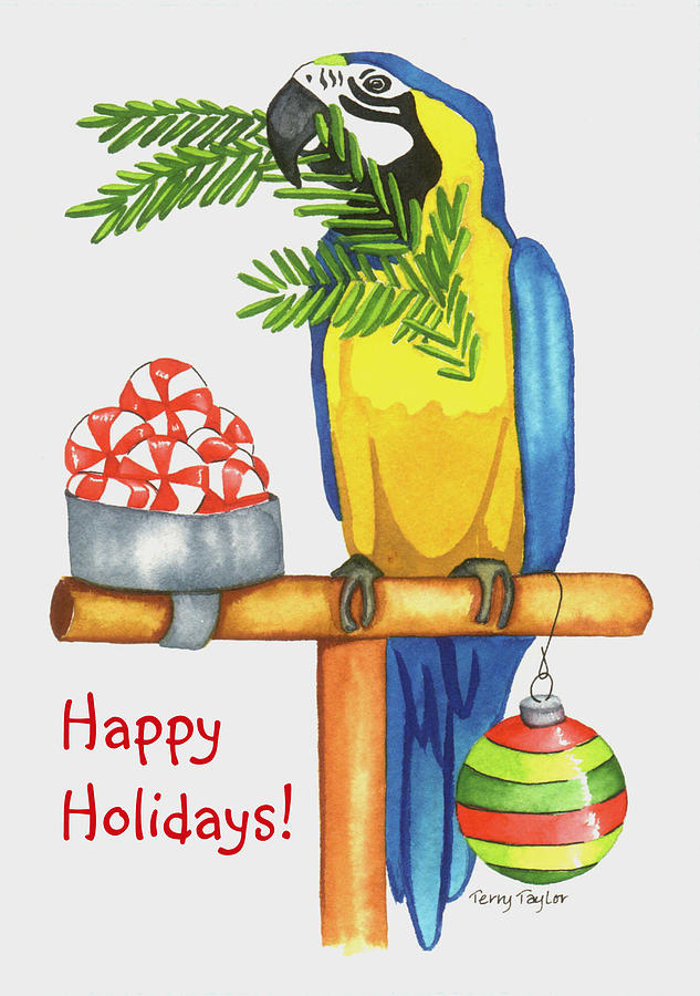 Christmas Macaw #1 Painting by Terry Taylor