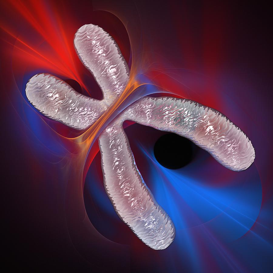 Chromosome, Artwork #1 Digital Art by Laguna Design