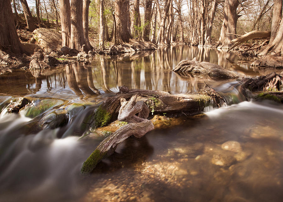 Cibolo Creek #1 Photograph by Paul Huchton