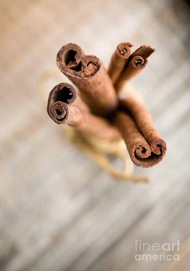 Cinnamon sticks #1 Photograph by Kati Finell